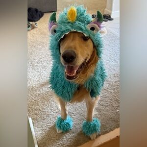 Faux Fur Monster Dog & Cat Costume - Teal - size XL